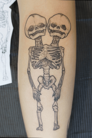 Simese twins anatomical study skelet, 32 weeks. Bold & fine line + dotwork. Traditional approach.