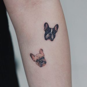 Tattoo by Saegeem #Saegeem #animaltattoo #animal #nature #realistic #realism #frenchpug #pug #dog #petportrait #small #color