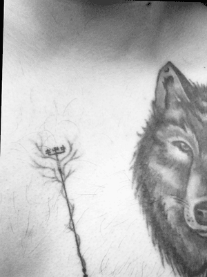 Wanna combine the wolf with arrow. Help ideas?? 