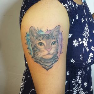 Cat, tattoo I did couple days ago to @gressrock Gracias por la confianza y el aguante 😉 Cotizaciones por mi whats 2223605806 y DM ✌🏻🤓 #cat #cattattoo #kitty #gato #tattoo #tatuaje #armtattoo #colortattoo #watercolor #watercolortattoo #acuarela #tattooacuarela #ink #inked #tattooedgirls #inkedgirls #HybridoKymera @tattoorealistic @tattoo.artists #tattooartists #the_art_of_tattooing #tatuadoresmexicanos #tatuadorespoblanos #pueblacity #mexico #hechoenmexico #madeinmexico #pueblatattoo @tattoodo 