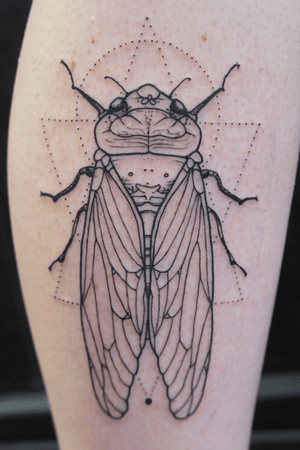 Cicada insect. Bold & fine line + geometric dot pattern . Traditional approach. • #insects #insects #insectphotography #cicadidae #insectsofinstagram #summer #tattoo #tatts #geometry #tattooart #tattooartist #blackart #blackink #blacktattoo #linetattoo #ink #inked #blxckink #blackworktattoo #blackwork #Inkstart #dotwork #dot #traveltattoo #nofilter #amsterdamtattoo #nature #fineline #fineart