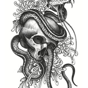 Ilustración de tatuaje de Joao Bosco #JoaoBosco #TheCultoftheSerpent #serpent #snake #blackandgrey #illustrative #darkart