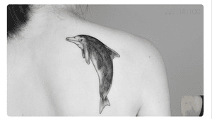 Tattoo by Sushi tattooist. Wechat：Justtattoo02 Guangzhou Tattoo - #Justtattoo #GuangzhouTattoo #OriginalTattoo #TattooManuscript #TattooDesign #TattooFemaleTattooist #blackandwhite #blackandwhitetattoo #coveruptattoo #cover #ocean #oceantattoo #dolphin #dolphintattoo 