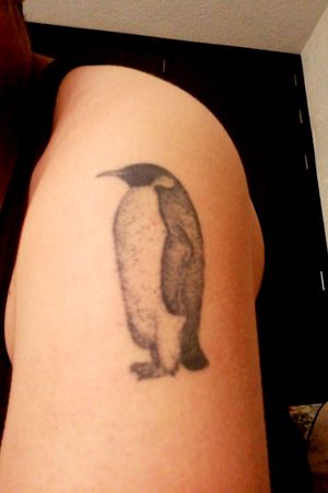 #Penguin