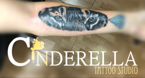 Tattoo by Cinderella tattoo studio