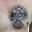 My next tattoo