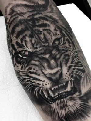 Tiger in Realistic Style by Jorge