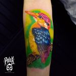 www.poluxdi.com Pereira colombia Bird tattoo