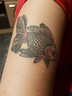 Fish #fish #colour #arm