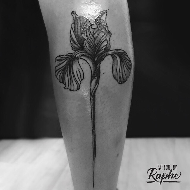 11 Cyclamen tatto ideas