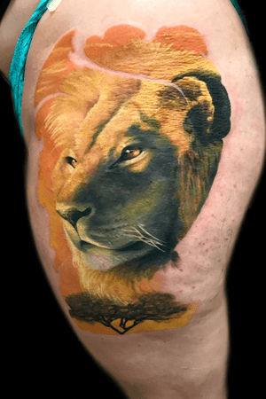 Lion in progress #lion #liontattoo #color #colortattoo 