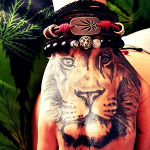 Rasta Lion ❤