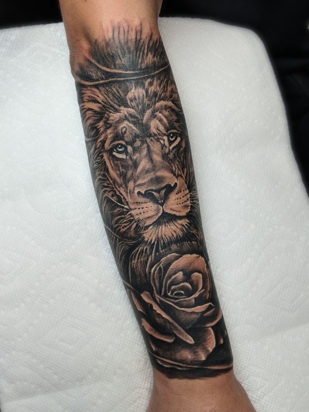 Lion and Rose Tattoo  Etsy Sweden