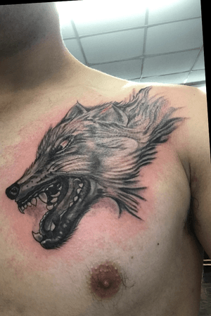 Got this badass wolf about over a year ago. I want to add mor onto it going towards the shoulder. Im looking for ideas