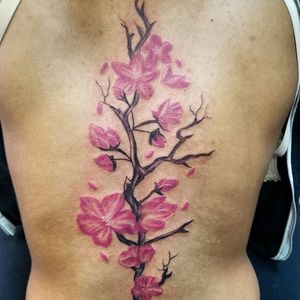 Cherry blossom tree Tattoo