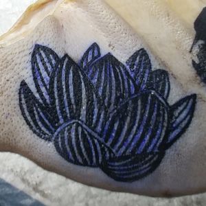 Lotus flower 💮