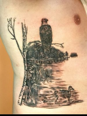 Perchd on a birch tattoo