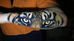 Healed tiger eyes 