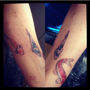 Some koi fish I tattooed #koifishtattoo #koifish #nooutline #swimmingfish #tattoo #tattoostyle #tattooart #shading #tattoodesign #everafterart #eternalink #rotarymachinetattoo #rotarymachine 