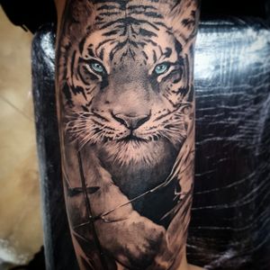 Tiger half sleeve