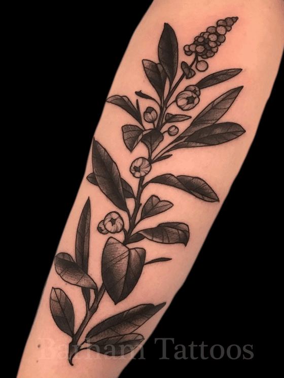blueberry branch tattooTikTok Search
