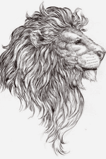 #lion #conceptual #chest 
