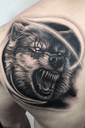 Wolf I tattooed recently on Corey’s upper back, for all booking and enquiries message me through my work Facebook thanks for looking! FB: VELU TATTOO IG: @VELUTATTOO