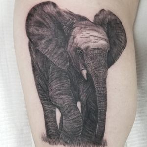 Small realistic elephant, around 3.5 inches tall.#elephant #elephanttattoo #realism #realistictattoo #blackandgrey #blackandgreytattoo #guyswithtattoos #knoxville #knoxvilletattoo