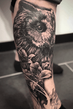 Tattoo en cours!  #hibou #blackandgrey #lys #blackandgreytattoos #bird #flowers #owl #balmtattoo #bngtattoo #art #cheyennetattooequipment #realistictattoo