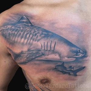 Shark tattoo by @jessevardarotattoos 