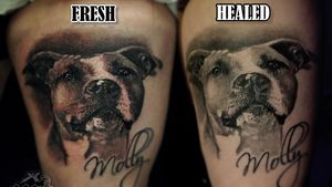 Fresh vs Healed
