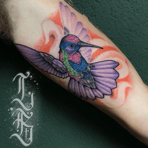Done by @lbatattoos - Resident Artist @swallowink @iqtattoogroup #tat #tatt #tattoo #tattoos #tattooart #tattooartist #color #colortattoo #neotraditional #neotraditionaltattoo #newschool #newschooltattoo  #bird #birdtattoo #ink #inkee #inkedup #inklife #inklovers #art #bergenopzoom #netherlands