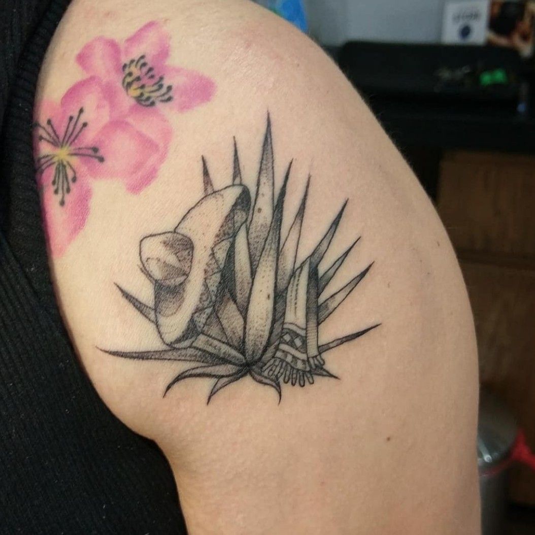 Bex Edwards Tattooist  Super fun little Agave plant for boozytring today   designed by downandoutphoto  agave tequila notacactus  blackworkers tattoo blackclaw pennyblacktattoobutter  pennyblacktattoobutter  Facebook