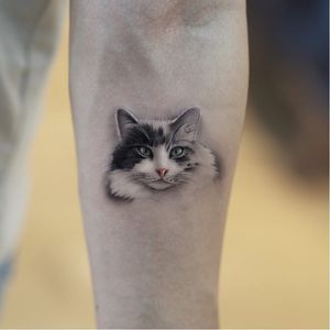 Tattoo by Jefree Naderali #JefreeNaderli #cattattoos #cat #kitty #petportrait #animal #nature #realistic #painterly #cute