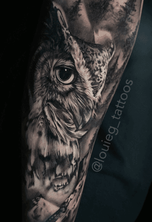 Owl done by louieg 