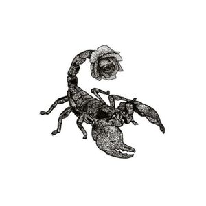 Scorpion Dotwork Ignorantstyle Tattoo flash 