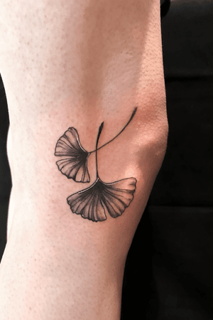 Ginkgo leaves tattoo 