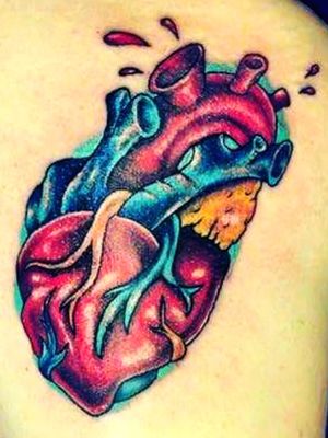 Neotrad anatomical heart