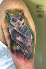 A Whitefaced owl I did a couple of days ago. #colortattoo #tattoo #owltattoo #realism 