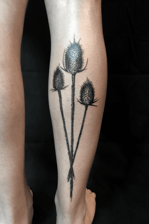 Thistle tattoo 