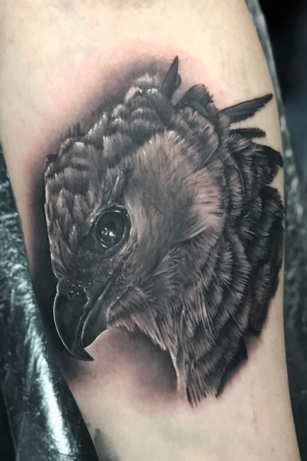 Tattoo from Nick Ferris