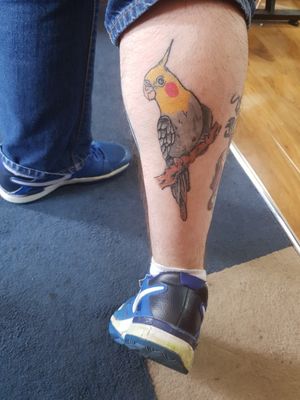 Was asked to do this customers pet in my style and he was not disappointed!!! #NewSchoolTattoos #birdtattoo #colourtattooart #funtattoos #healedtattoo #animaltattoo #geek57 #KosherTC