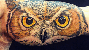 Session 1 of 2 of this Owl Bicep Sleeve. 