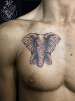 🐘 #elephant #tattoos #Reminisce #Reminiscetattoo #bangkoktattoo #bangkok #thaitattoo #Thailand