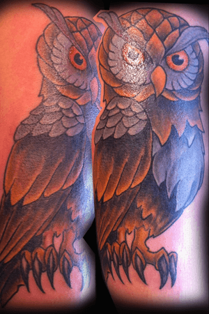 Hiboux néotraditionnel en couleur sur le bras d’une femme