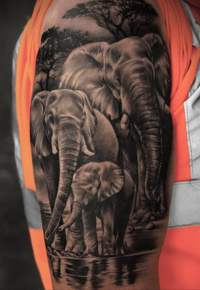 Finished this family of elephants today :) most of it is healed. Trees fresh :) #tattoo #tattoodesign #tattooideas #sleeve #sleevetattoo #elephanttattoo #elephantfamily #family #familytattoo #tattoooftheday