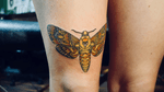 #deathmoth tattoo #fineline #traditional #moth #leg #color #death 