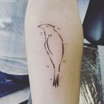 New tattoo on arm #crow #raven #lineworktattoo #lines #linetattoo #black 