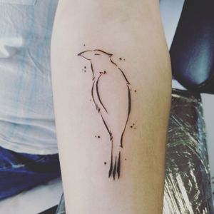New tattoo on arm#crow #raven #lineworktattoo #lines #linetattoo #black 