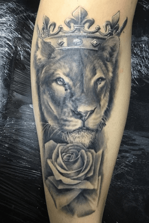 Queen Lioness portrait 